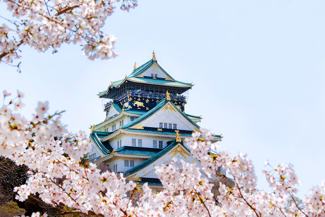 Osaka Castle & Cherry Blossoms