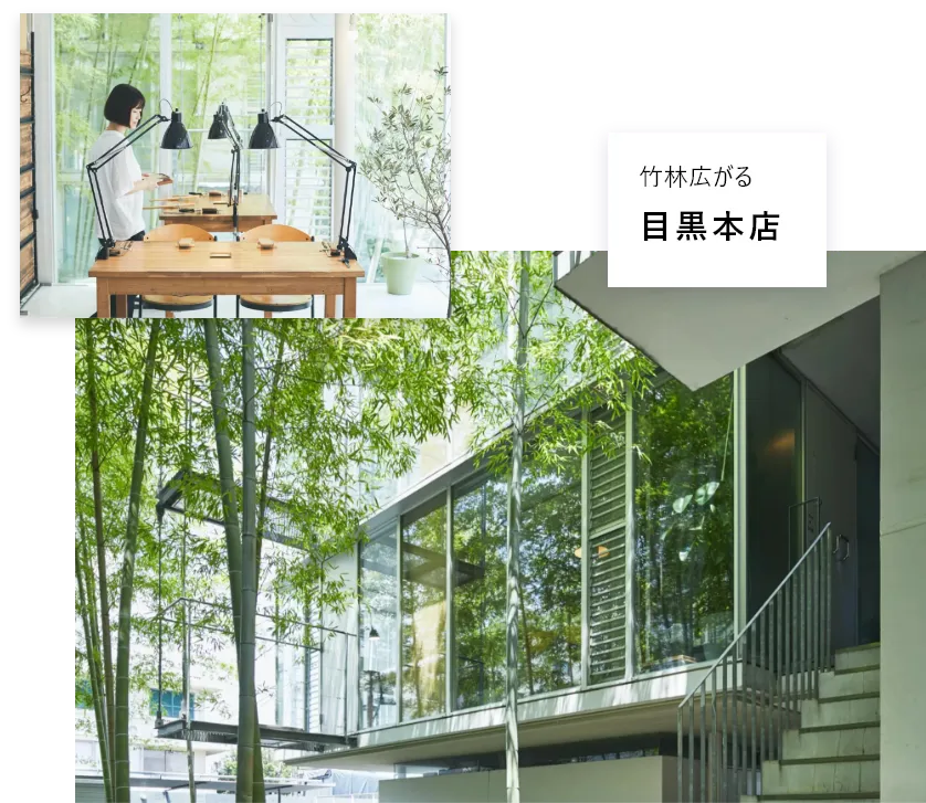 竹林広がる 目黒本店