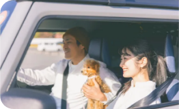犬を連れて車で移動するカップル
