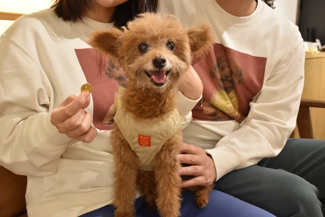 指輪を手にしたおふたりとトイプードル