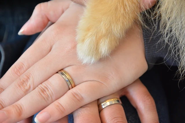 結婚指輪を着けた手と愛犬の前足