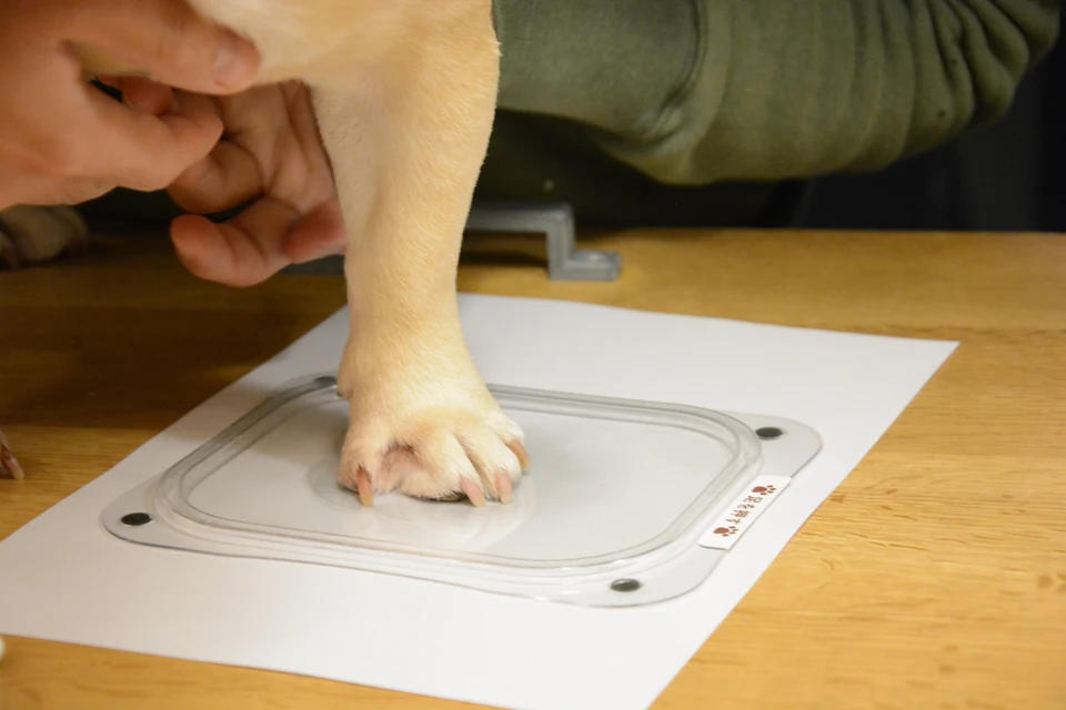 専用のスタンプで愛犬の足跡を採取している様子