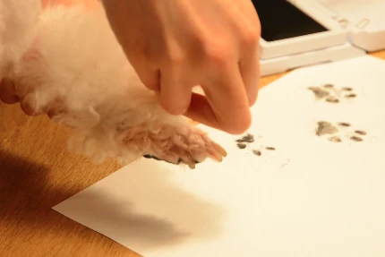 紙に押した愛犬の足跡
