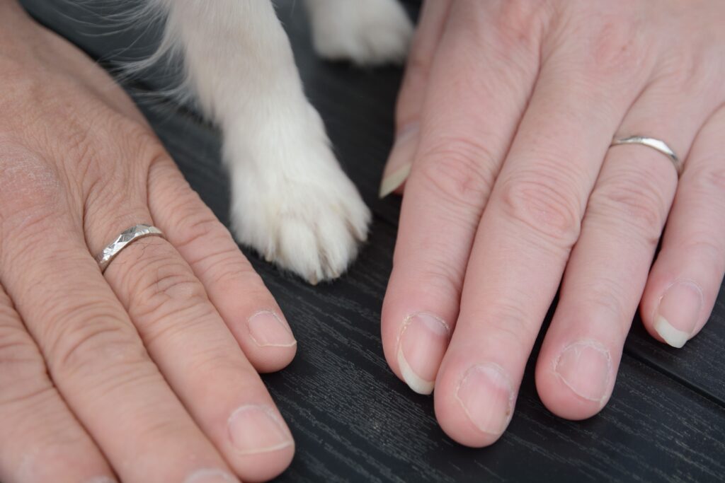 愛犬と手作り指輪